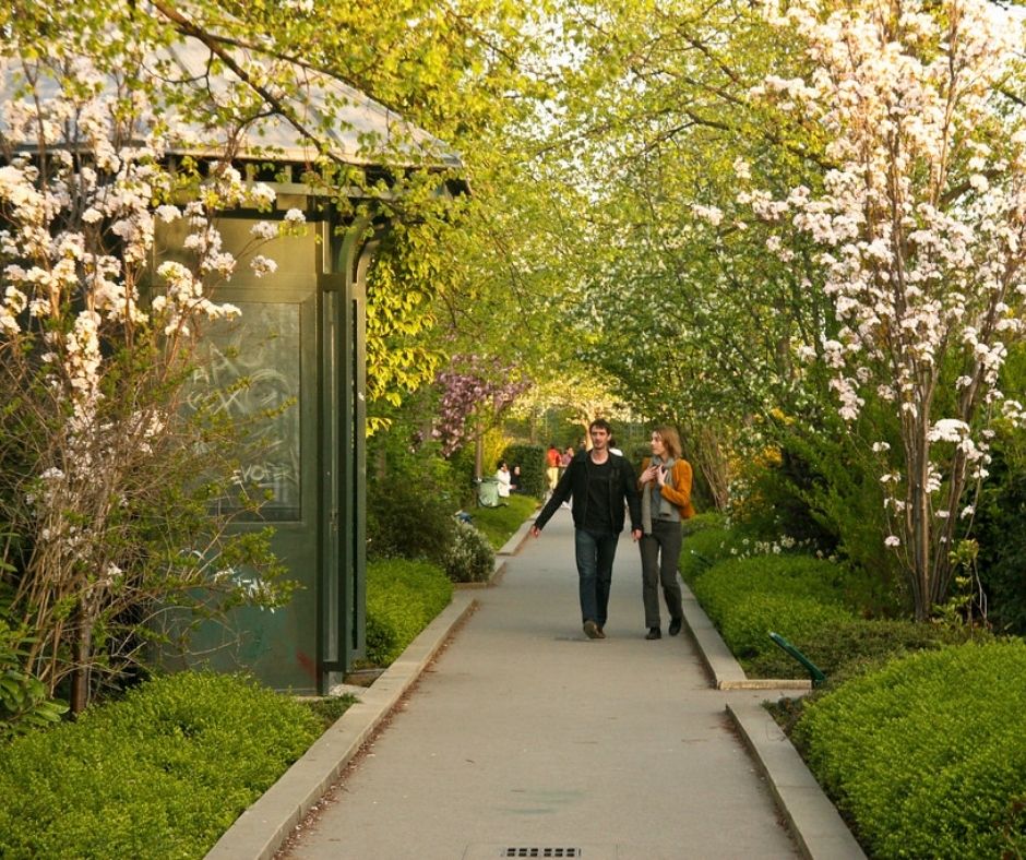 A couple stroll through the cherry blossoms on the Promenade Plantée in Paris